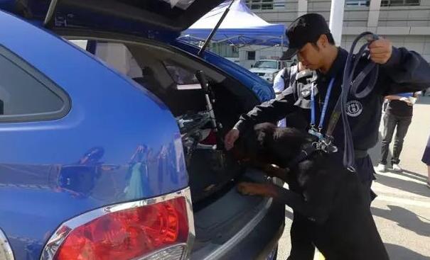 警犬檢查.jpg 警犬檢查.jpg